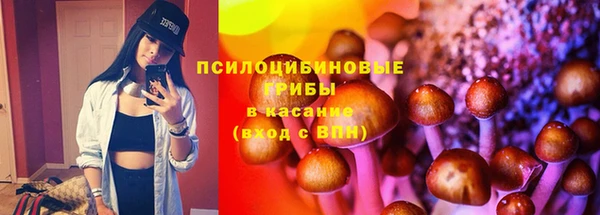 Альфа ПВП Белокуриха