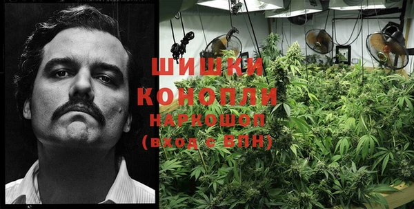 Альфа ПВП Белокуриха